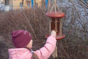 Как сделать простую кормушку для птиц своими руками в детский сад в несколько шагов